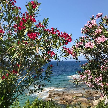 Nidu Accogliente In Balagna L'Ile-Rousse (Corsica) Exterior foto